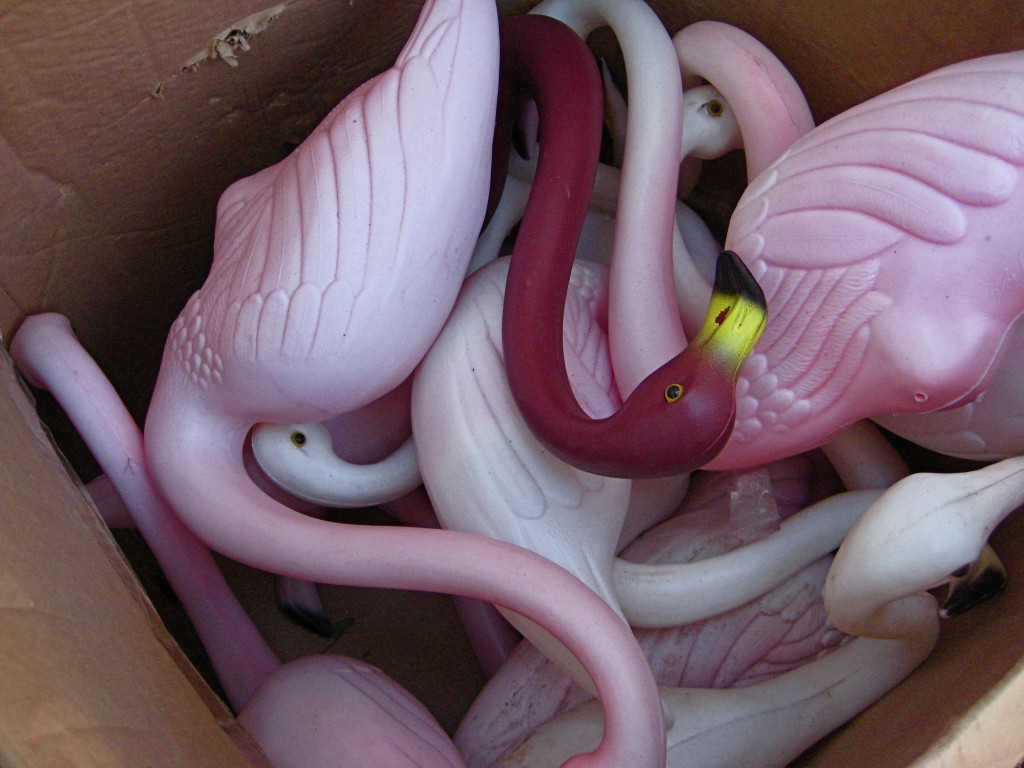 Kitsch Flamingo